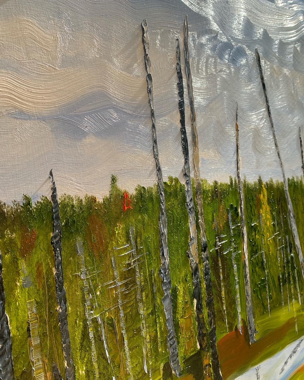 Orono Bog in Early Fall, Orono, ME 2022