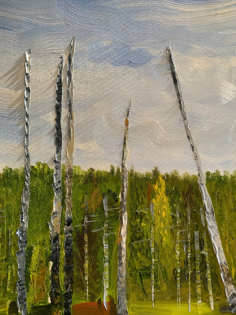 Orono Bog in Early Fall, Orono, ME 2022